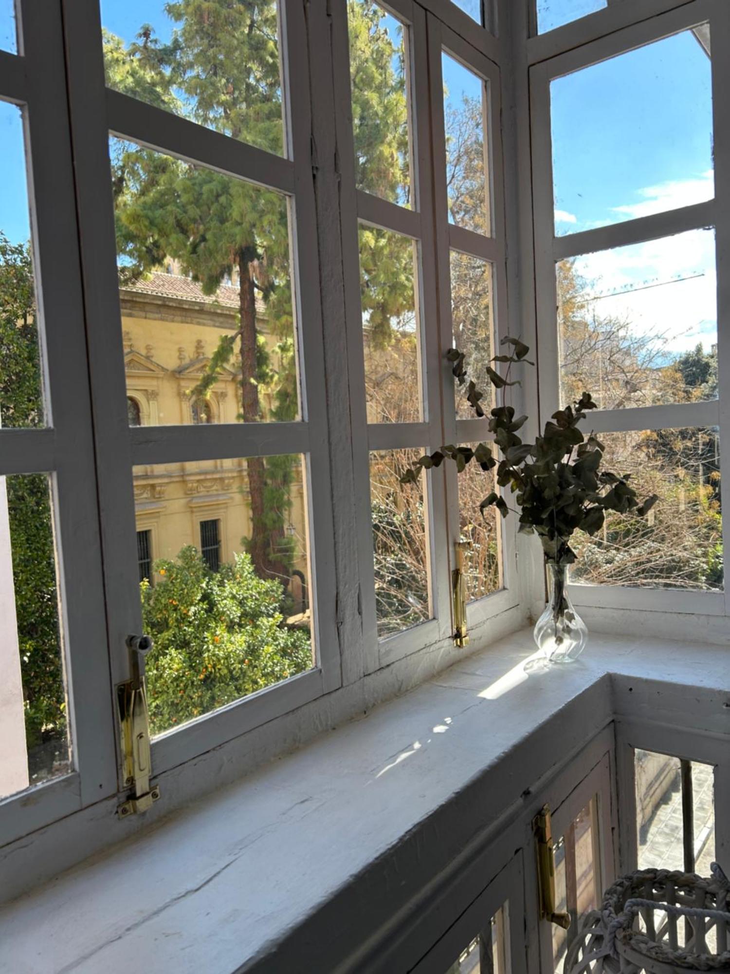 Apartamento Jardin Botanico Granada Kültér fotó